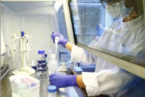 Vacina chinesa contra covid-19 tem primeiros resultados promissores em testes com animais