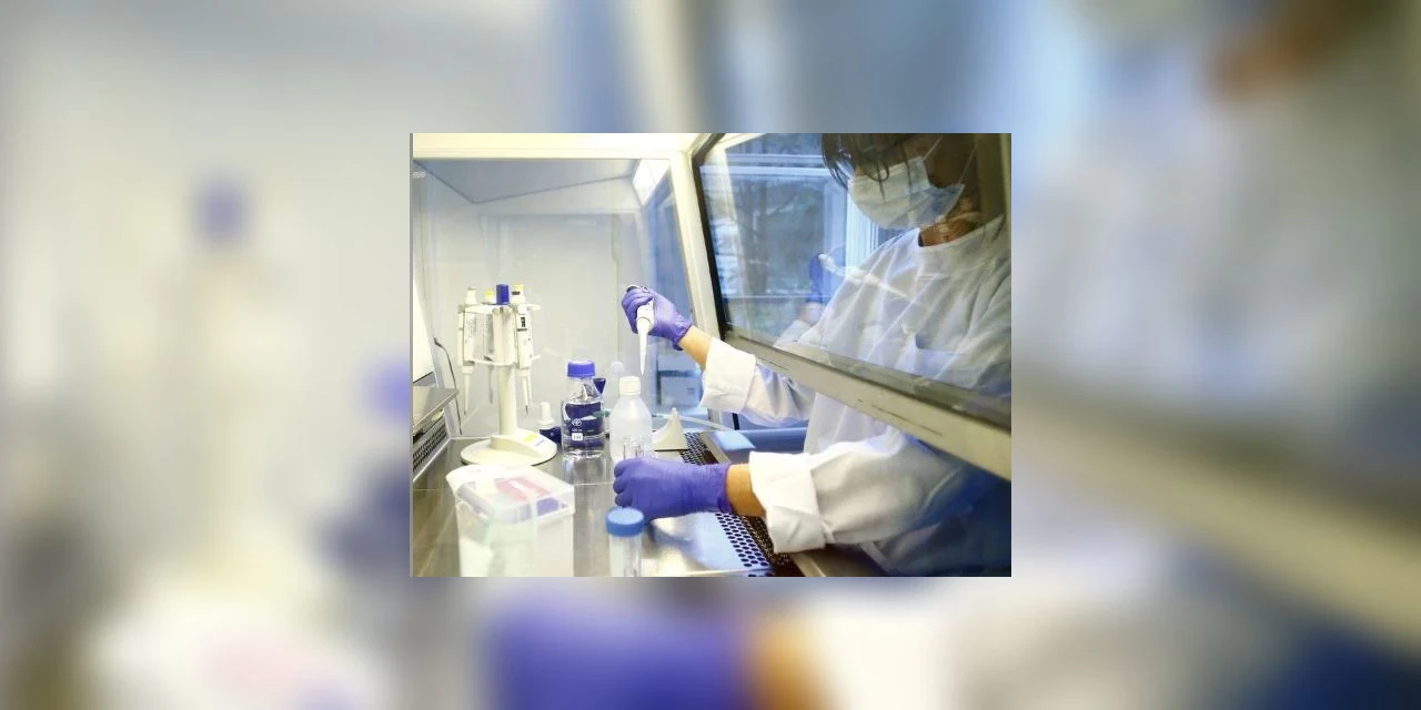 Vacina chinesa contra covid-19 tem primeiros resultados promissores em testes com animais