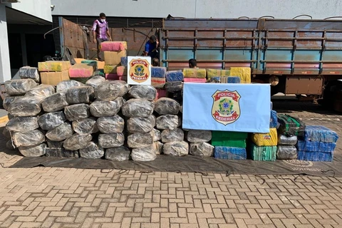 Operação da PF e PM apreende 25 toneladas de maconha em caminhões com carga de soja no Paraná   