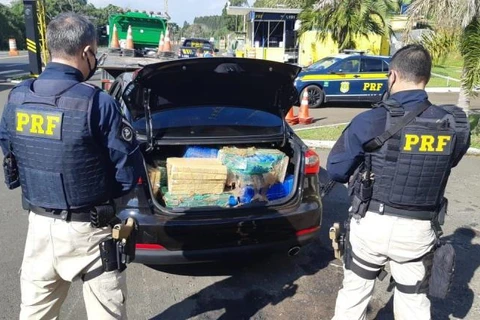 PRF apreende quase 2 toneladas de maconha em menos de 24 horas no Paraná