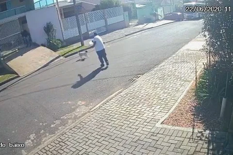 Câmera flagra homem matando cachorro com tiro no Paraná