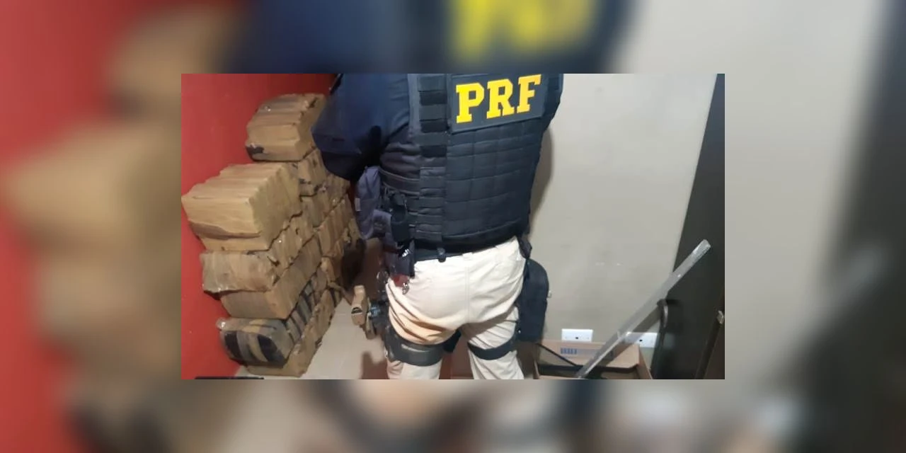 Operação Tamoio II da PRF apreende mais de 200 quilos de maconha em Tibagi