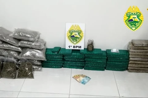 PM apreende murruga e quase 40 quilos de maconha em PG