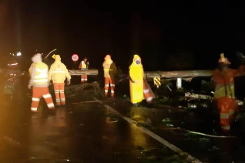 Temporal derruba arvores e interdita rodovia em Tibagi