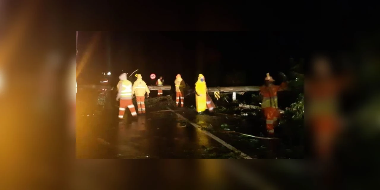 Temporal derruba arvores e interdita rodovia em Tibagi