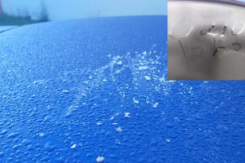 PG amanhece com geada e temperaturas negativas