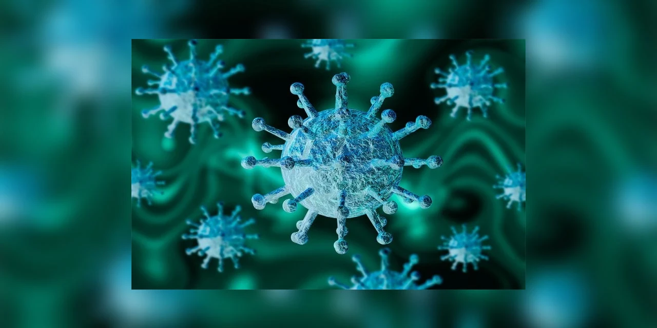 Paraná ultrapassa 2 mil casos em 24h e bate recorde de mortes