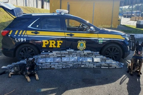 Com ajuda de cães farejadores PRF apreende quase 200 quilos de cocaína na região metropolitana de Curitiba