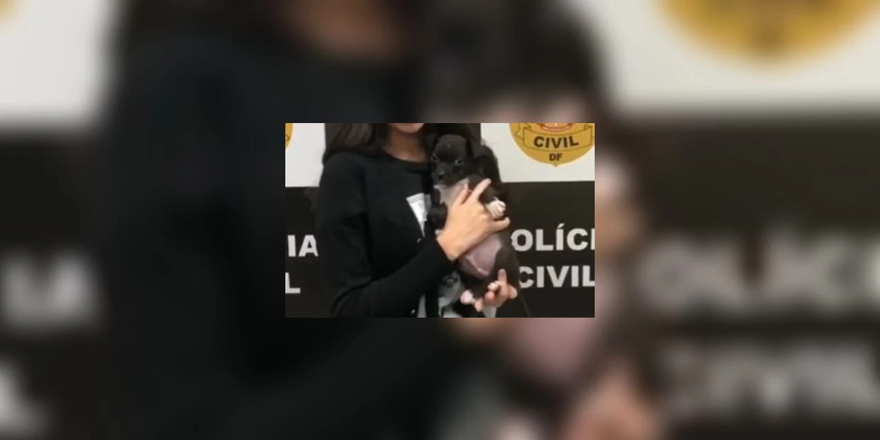 Homem faz cachorro inalar Lança-perfume e vai preso