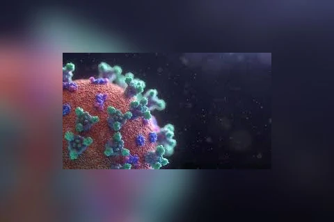 Ponta Grossa registra 89 novos casos de coronavírus na cidade.