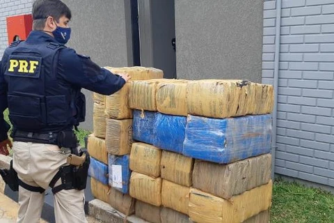 PRF apreende mais de meia tonelada de maconha, na BR-277