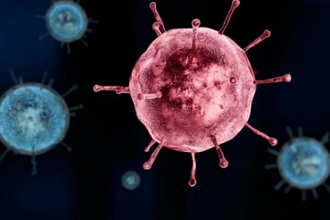 Saúde confirma o 12º óbito por covid-19 em Ponta Grossa