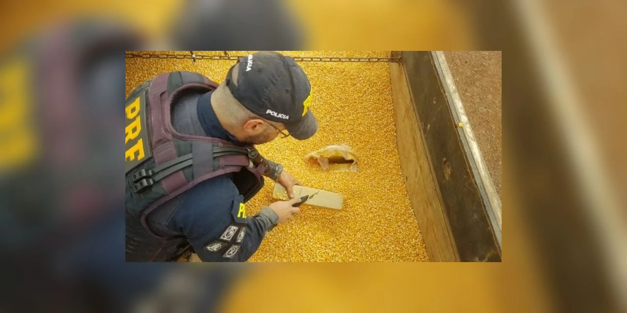 PRF encontra 11 toneladas de maconha escondida em carga de milho; Veja!