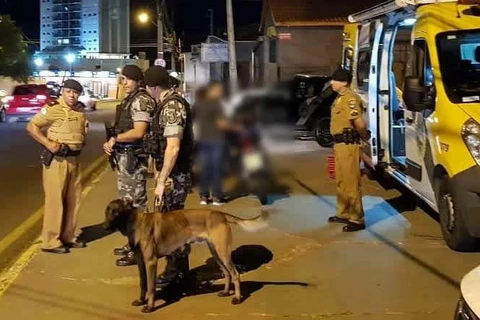 Cão de faro ajuda PM a encontrar drogas e fechar ponto de tráfico no Boa Vista