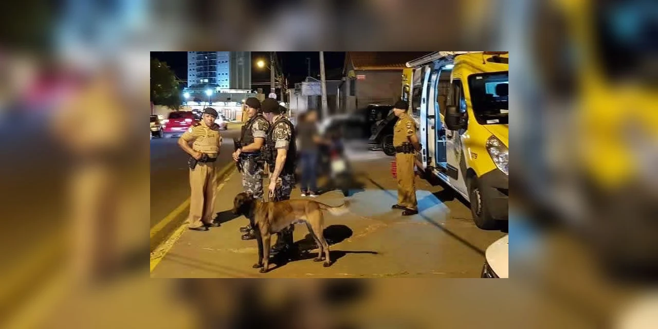 Cão de faro ajuda PM a encontrar drogas e fechar ponto de tráfico no Boa Vista