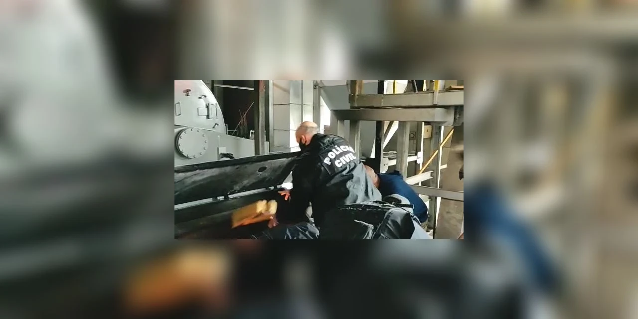 Quase 3 toneladas de drogas apreendidas são incineradas em PG