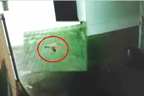 Drone é interceptado levando celulares para cadeia