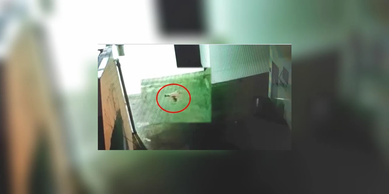 Drone é interceptado levando celulares para cadeia