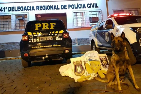 PRF e Canil da Guarda Municipal de Irati realizam apreensão de droga