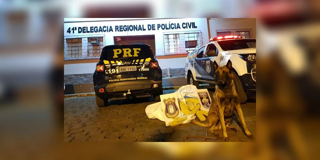 PRF e Canil da Guarda Municipal de Irati realizam apreensão de droga