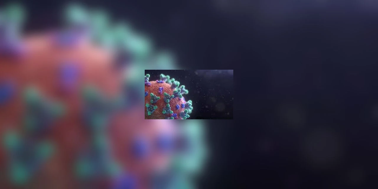 Homem de 39 anos é a 15ª vítima de covid-19 em PG, diz FMS