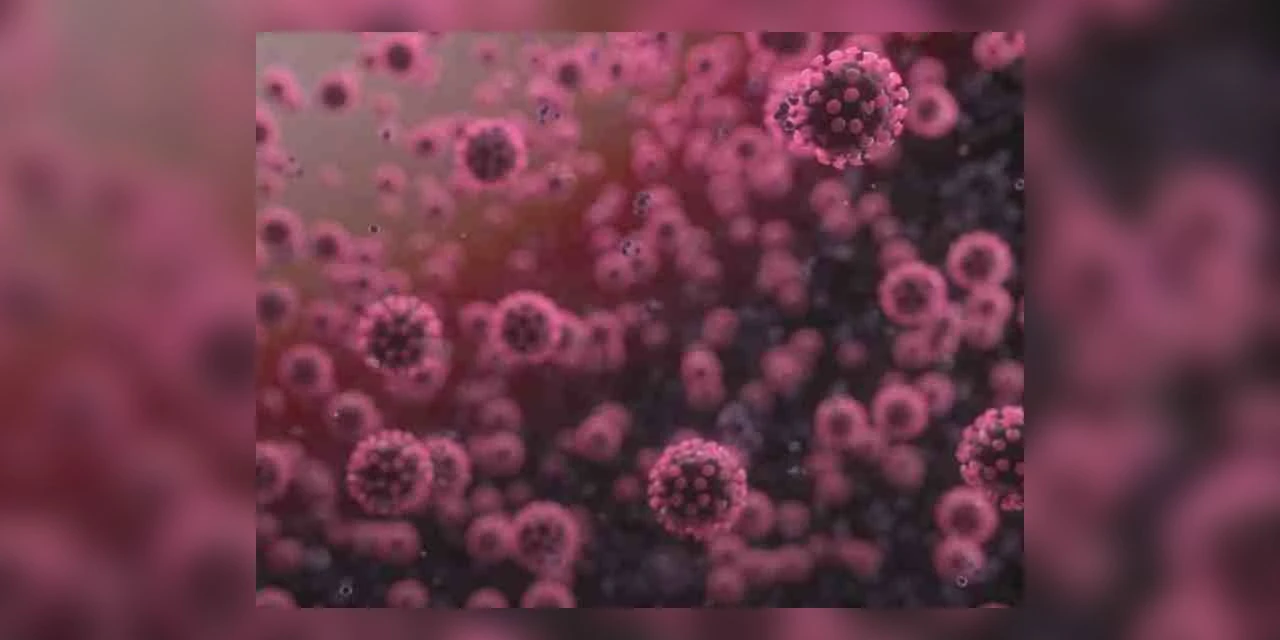 PG registra 22º óbito por coronavírus na cidade