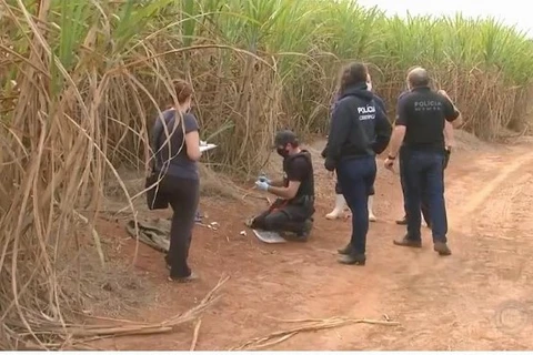 Tia e sobrinha são presas, após dopar idosos em assaltos; diz policia