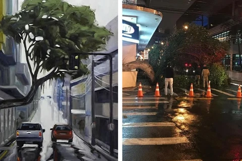 Arvore torta e centenária cai após sofrer batida no centro de PG