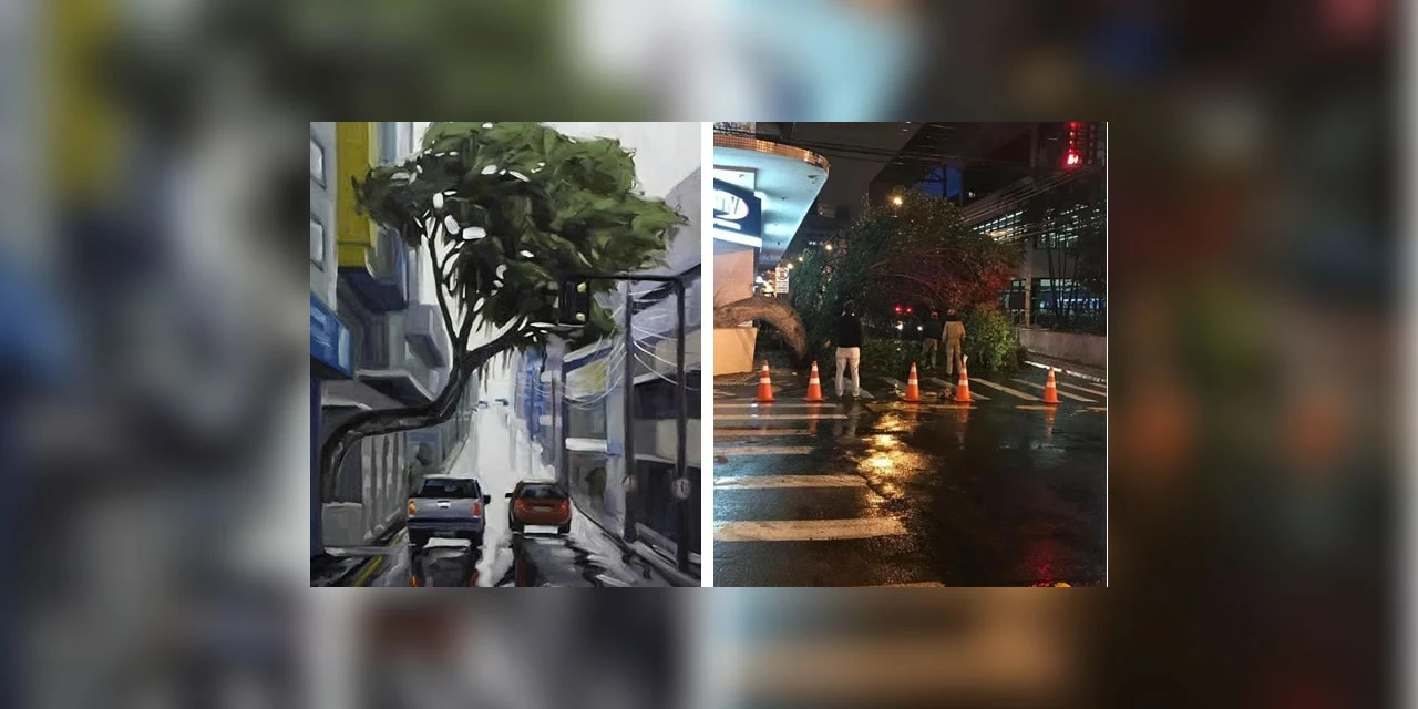 Arvore torta e centenária cai após sofrer batida no centro de PG