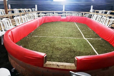 Força Verde fecha rinha e apreende 67 galos em Pirai do Sul