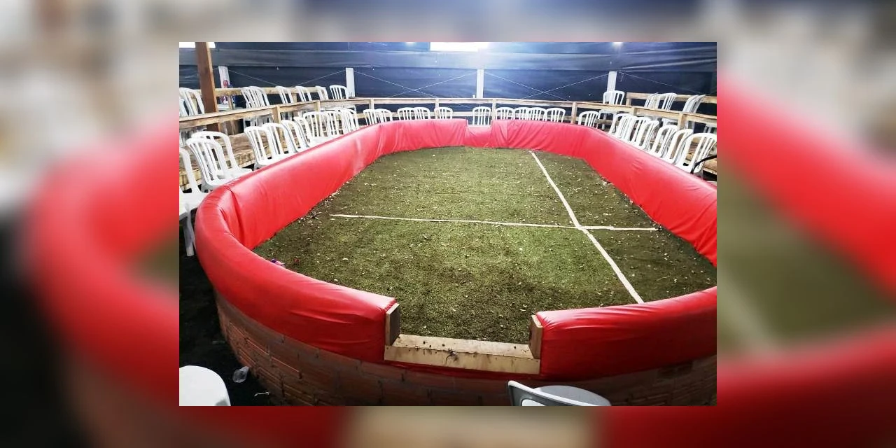 Força Verde fecha rinha e apreende 67 galos em Pirai do Sul