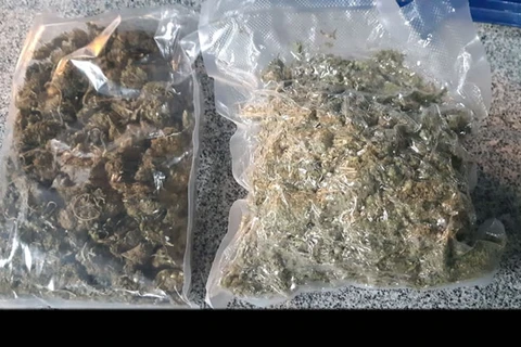 PRF apreende 50 quilos da supermaconha em Irati (PR)