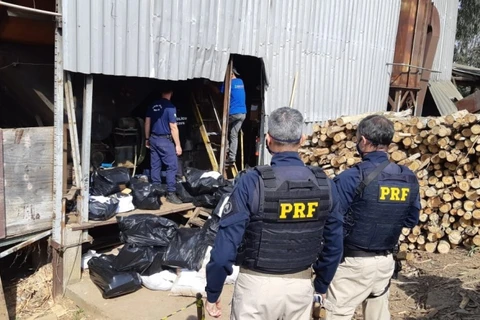 PRF incinera cerca de 11,5 toneladas de maconha no Paraná