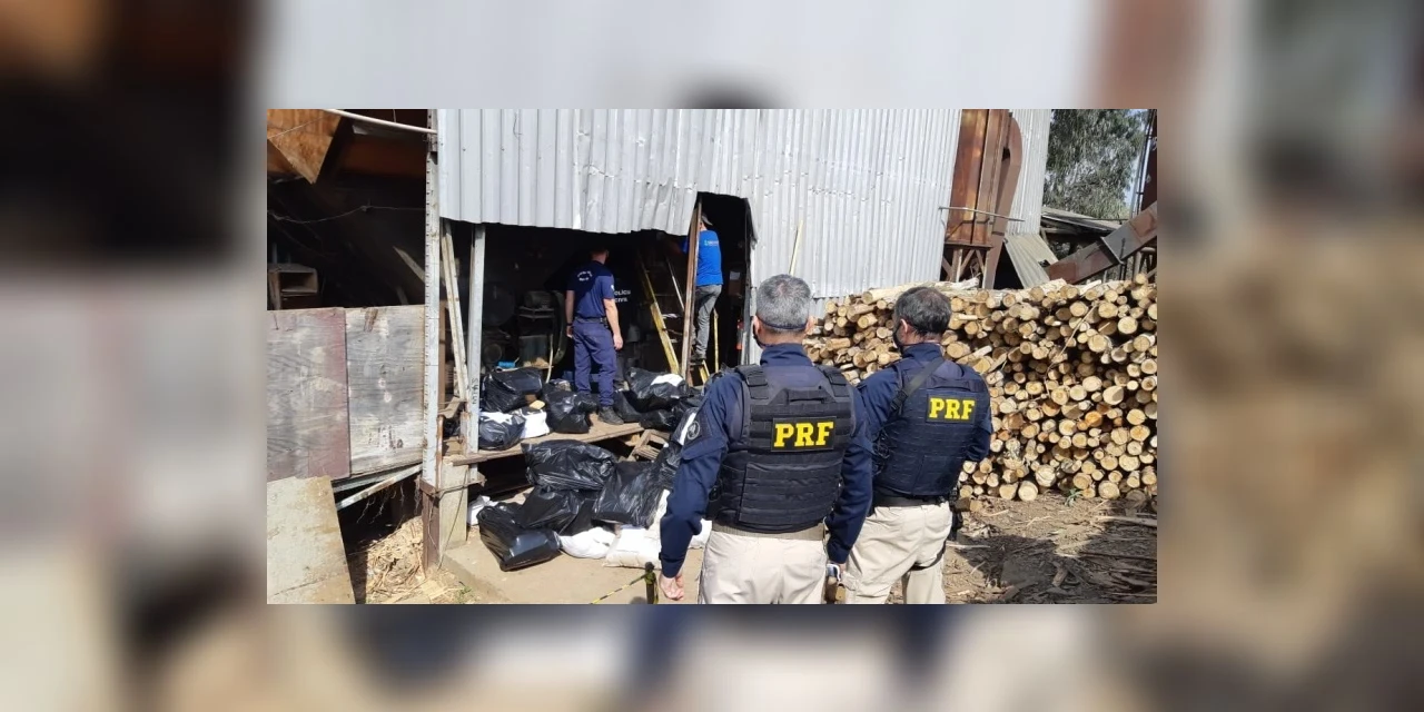 PRF incinera cerca de 11,5 toneladas de maconha no Paraná