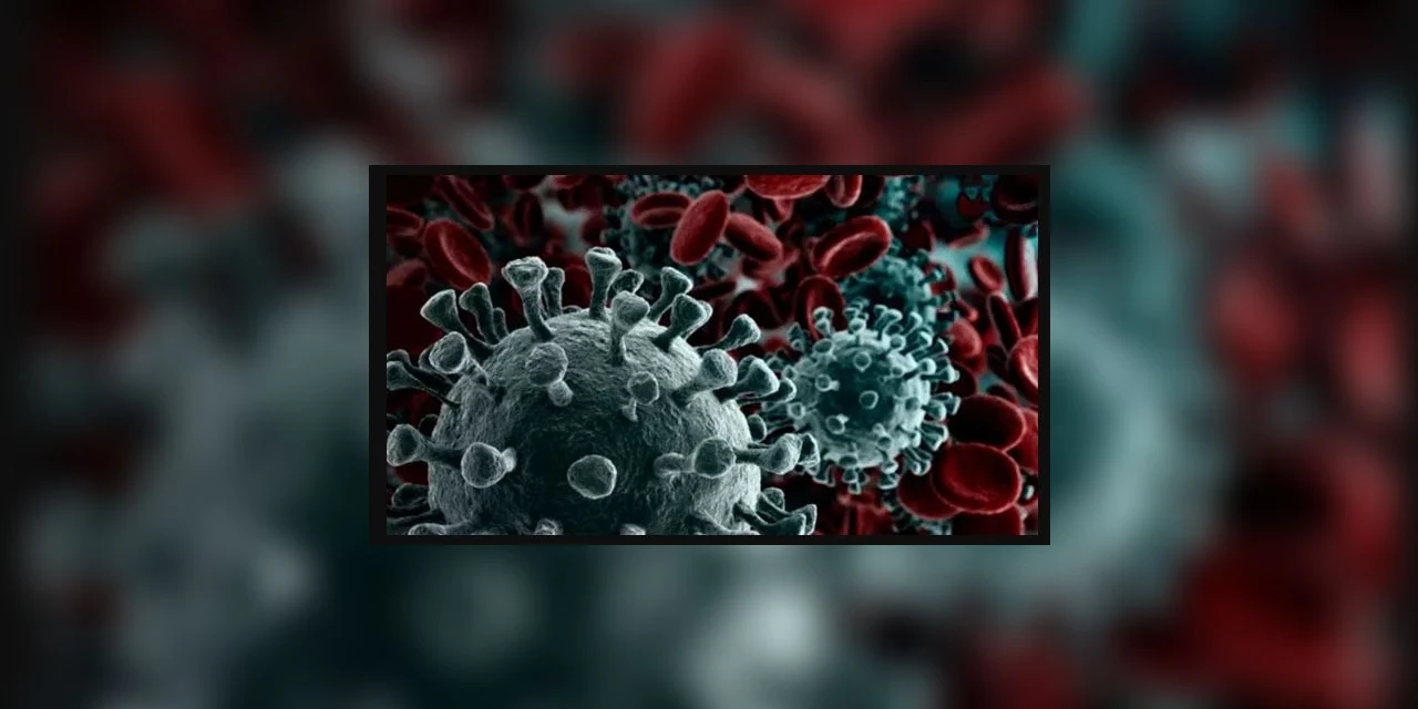 PG registra 76º óbito por covid na cidade