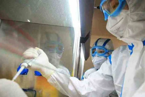 PG registra dois óbitos por covid no feriado