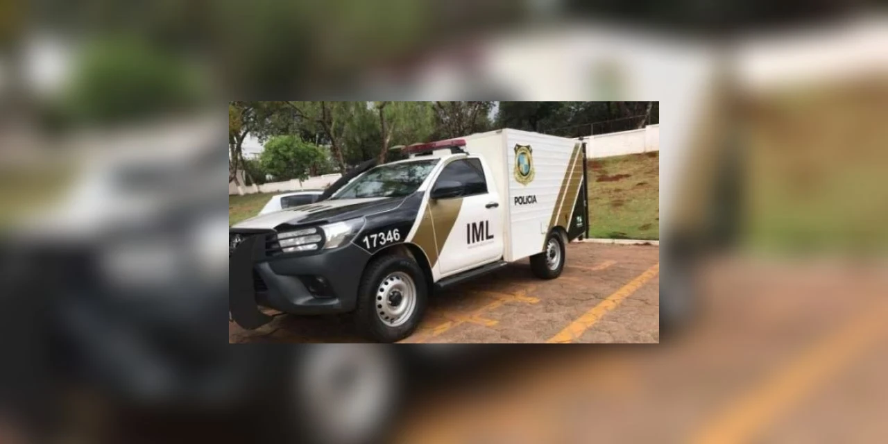 Mulher morre após ataque de abelhas no interior de Imbaú