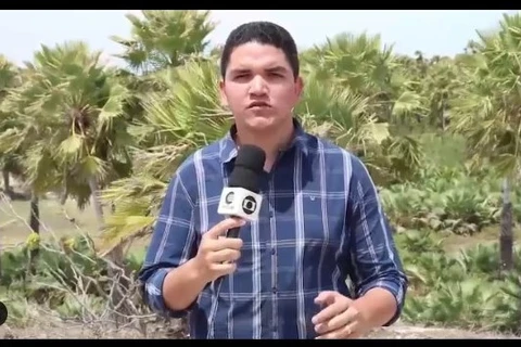 Repórter da TV Globo, morre vítima de câncer aos 24 anos