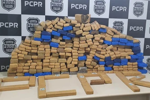 Policia Civil apreende 208 quilos de maconha em Palmeira