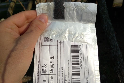 Estado emite alerta sobre recebimento de sementes da China que podem conter doenças