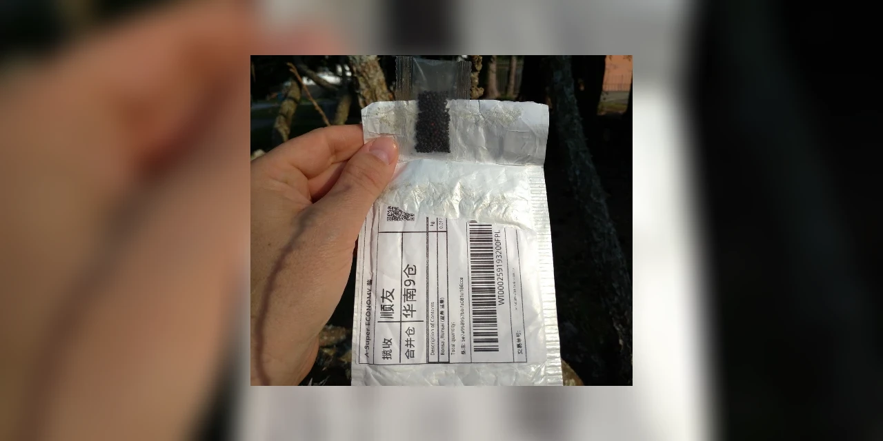 Estado emite alerta sobre recebimento de sementes da China que podem conter doenças