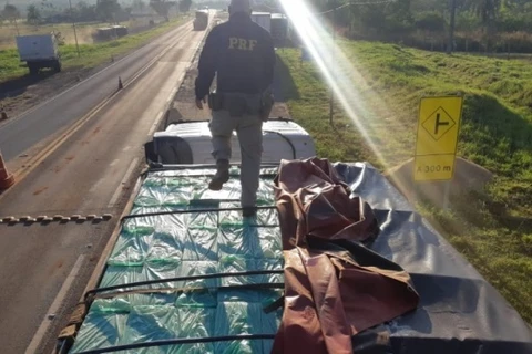 PRF recupera carreta carregada com mais de R$2 milhões em cigarro no Paraná