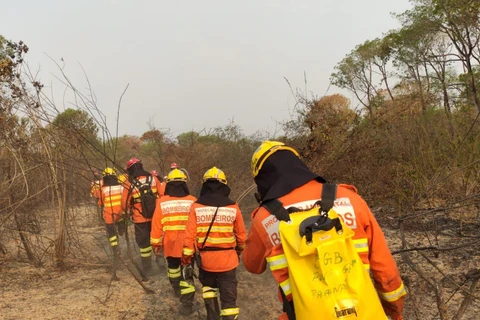 Bombeiros do Paraná continuam combatendo incêndios no Pantanal