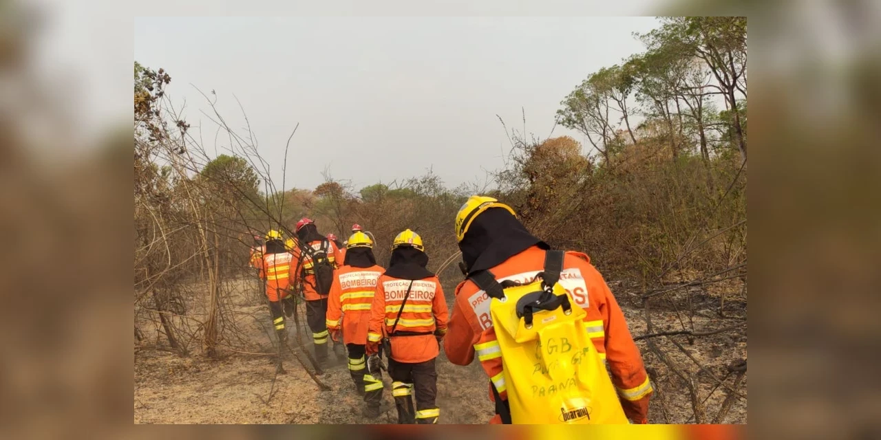 Bombeiros do Paraná continuam combatendo incêndios no Pantanal