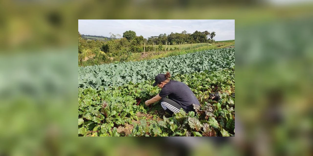 Prefeitura inicia cadastro de produtores rurais para o Programa Feira Verde