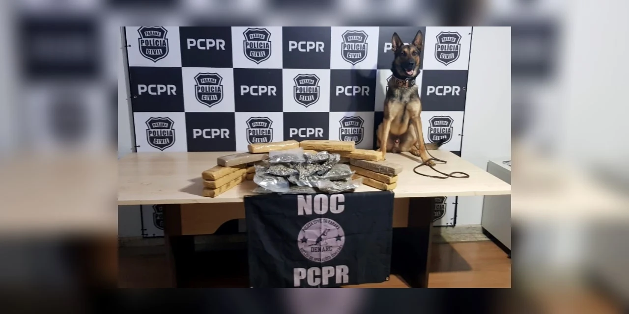 Cães farejadores da Policia Civil encontram 107 quilos de drogas durante operação