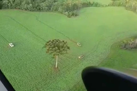 Polícia continua buscas por assaltantes que estariam escondidos na região do Taquari