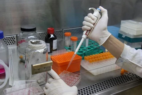 Paraná registra 1.724 novos casos de Covid-19