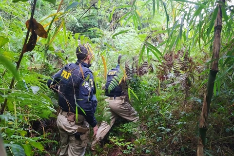 Segue cerco aos assaltantes de banco, após troca de tiros em PG