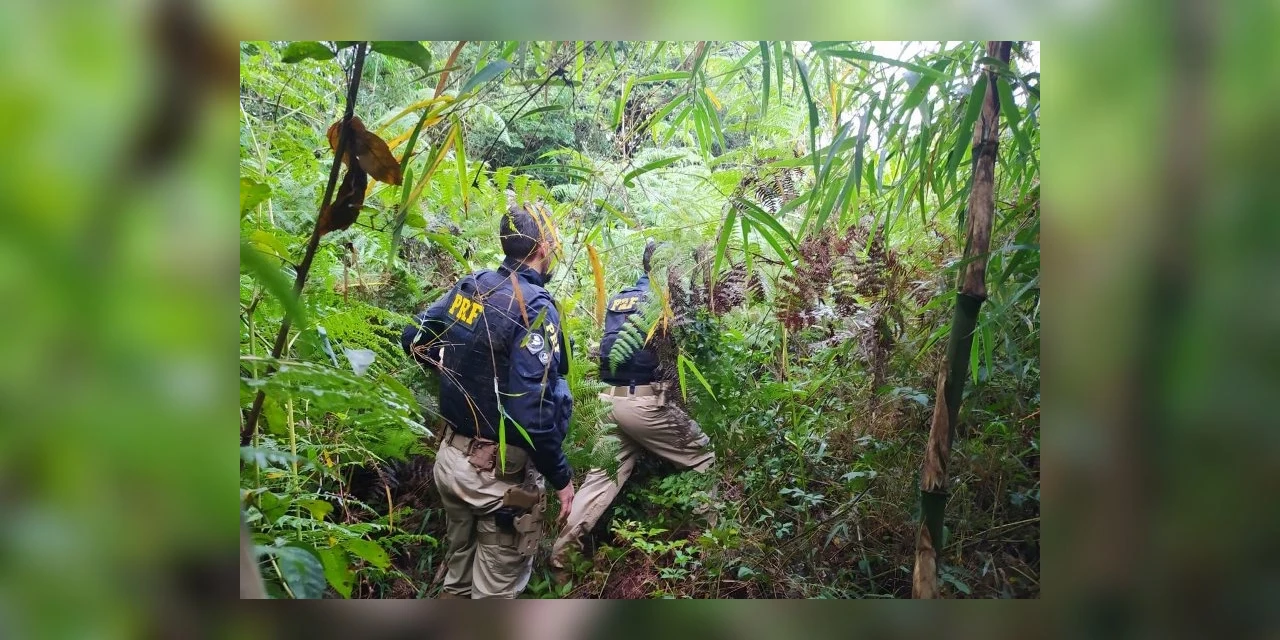 Segue cerco aos assaltantes de banco, após troca de tiros em PG